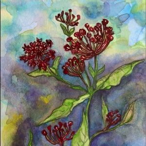 “Milkweed” Watercolor Notecard